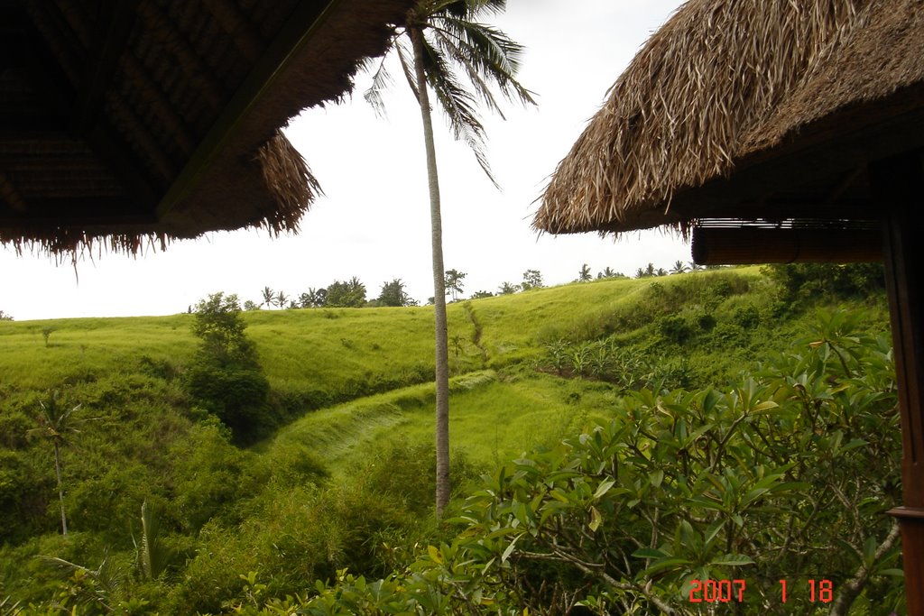 Ubud Bali by JusRus