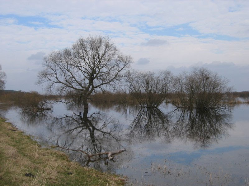 Wiosenne rozlewiska Biebrzy/Spring backwaters of Biebrza River by Kamil Żukowski