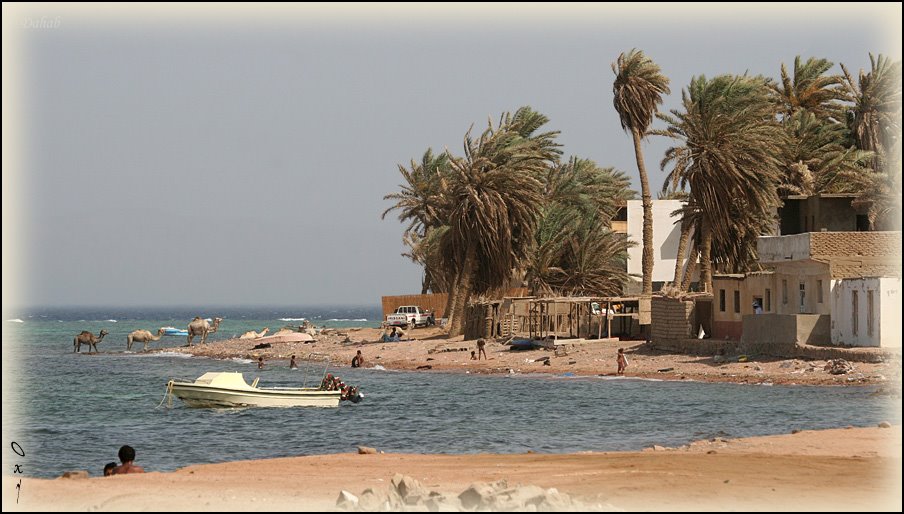 Dahab - 1 by OxyPhoto.ru - O x y