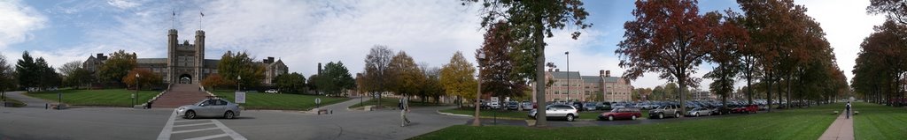 Washington University in St. Louis by viatcheslav bugaev