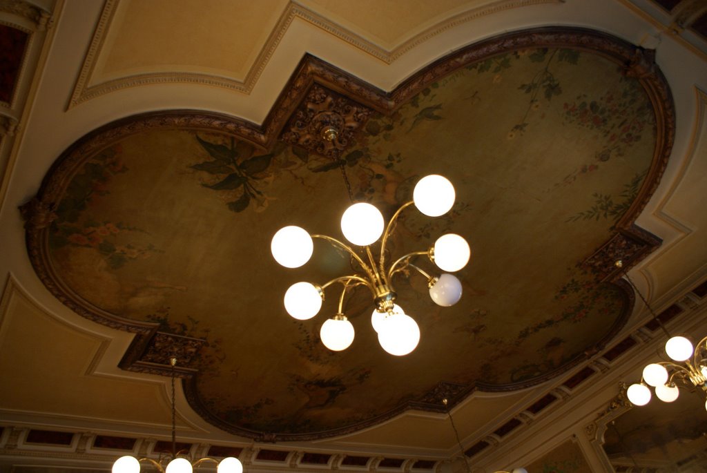 Restaurant La Terrasse ceiling by edprevett