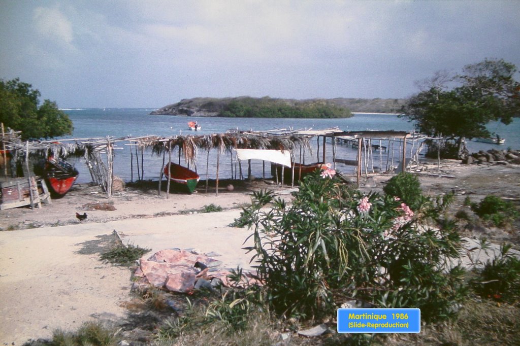 Martinique21 - Cap Chevalier by Roland Dittl