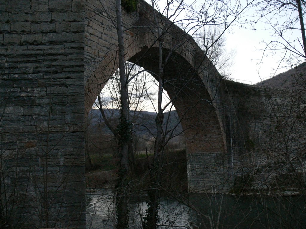 Puente sobre el Dourbie by aparis