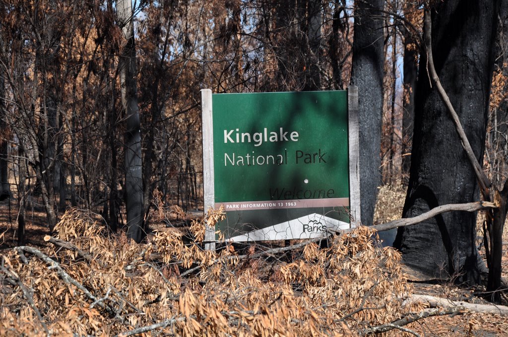 Kinglake National Park by © Tony