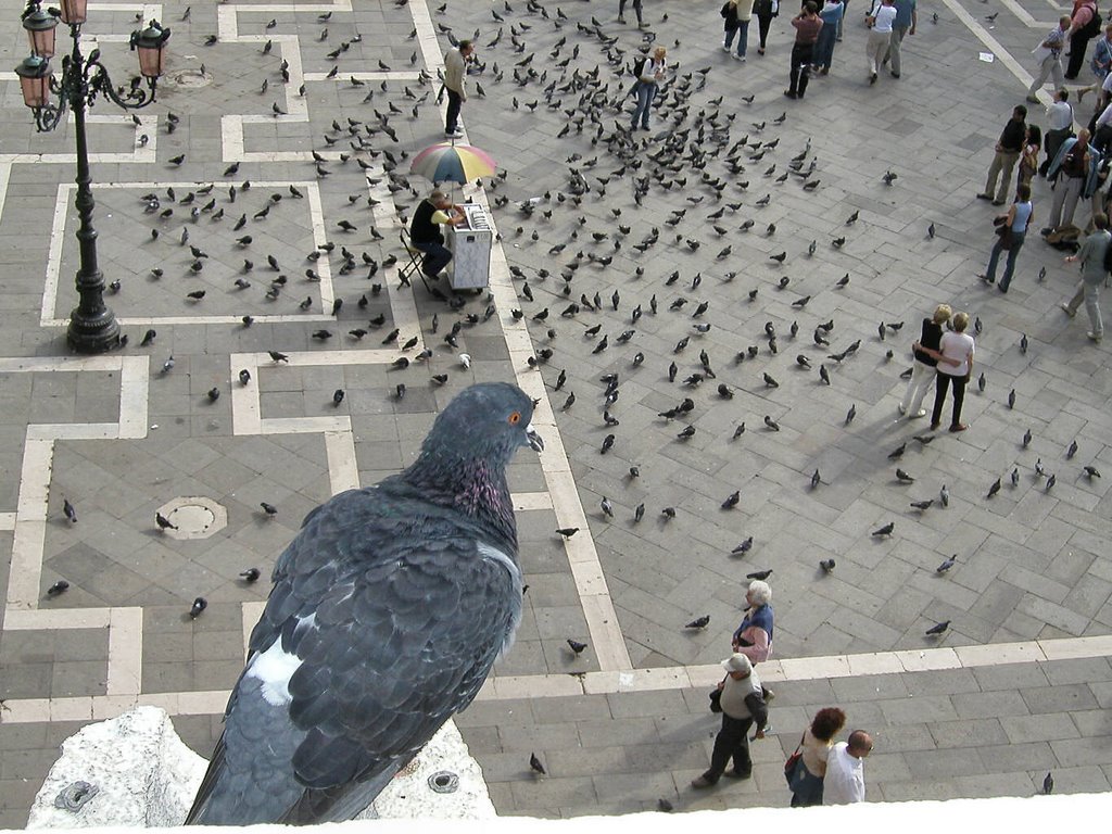 Venezia-San Marco-bird's-eye view by Marosfalvi Tamás