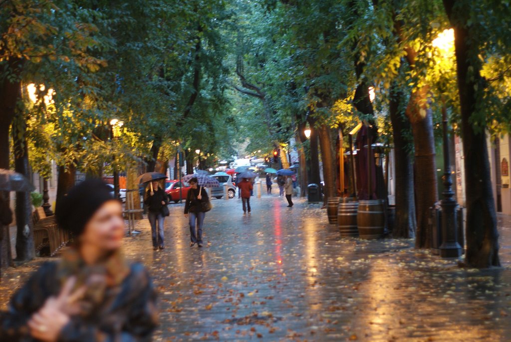 Trieste Viale XXe settembre by edprevett