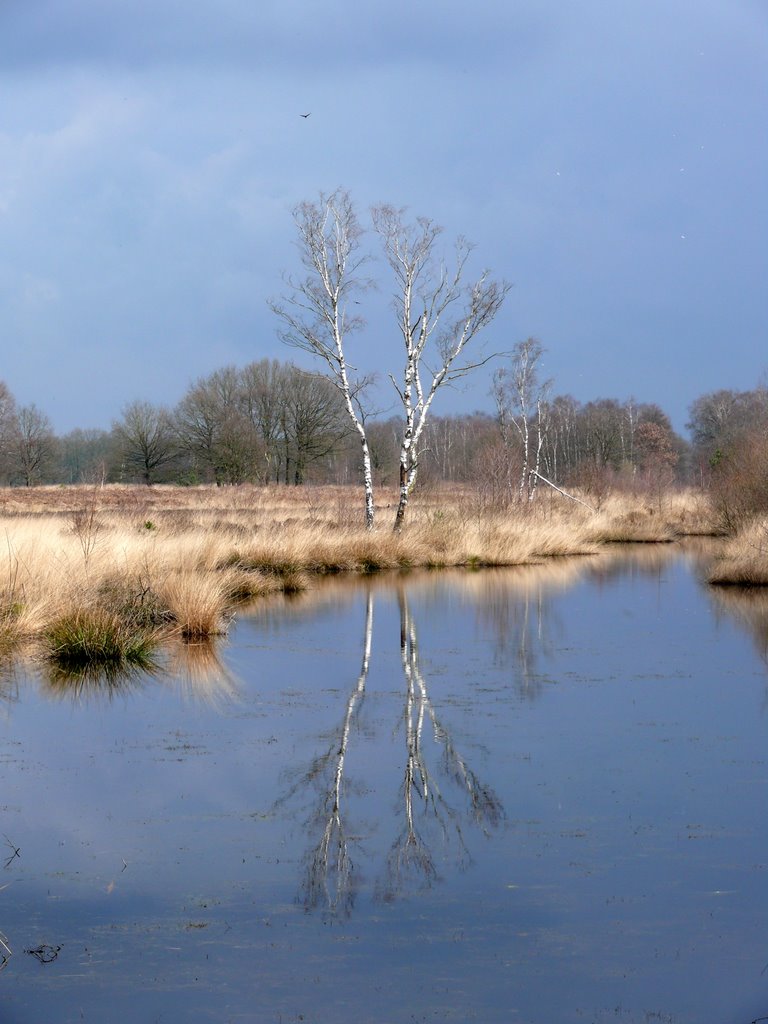 Beautyful Nature by Reinhard Kerkeling