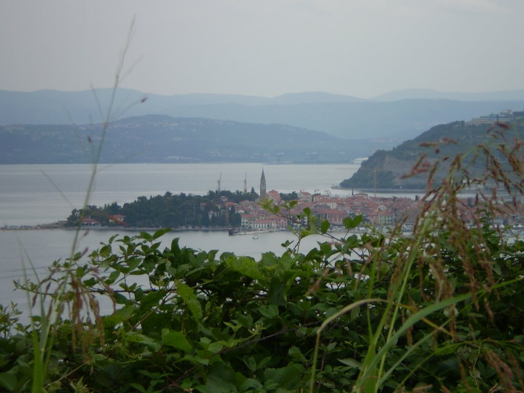 Izola from the hills by Sbabuz