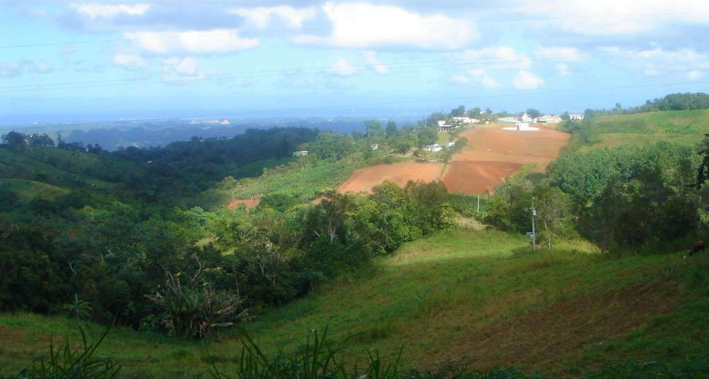 Corozal, PR: Vista desde Ruta 618 by NTirado