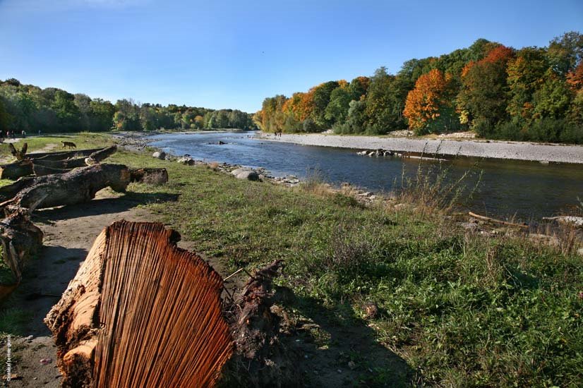 Isar münchen, nähe pistorinistr. by melanie bentele