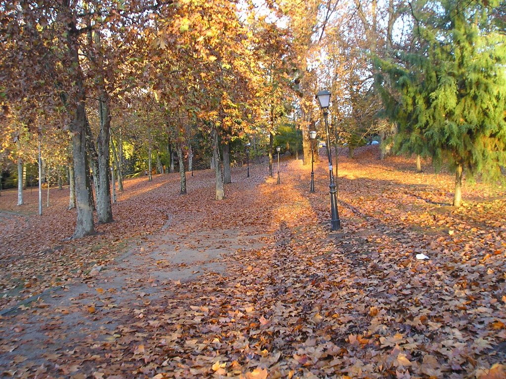 Vigo, Parque de Castrelos by Antía D. B.