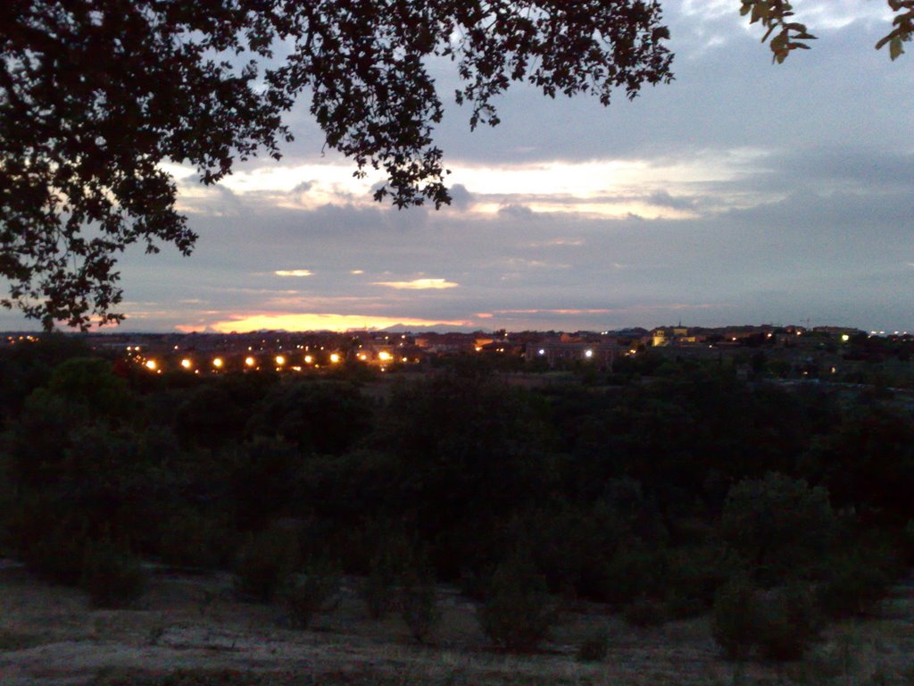 Monte de boadilla by victor m valencia