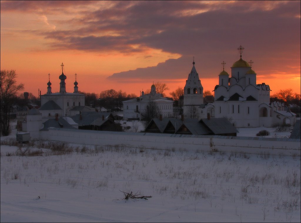 Покровский монастырь by Oleg Domalega