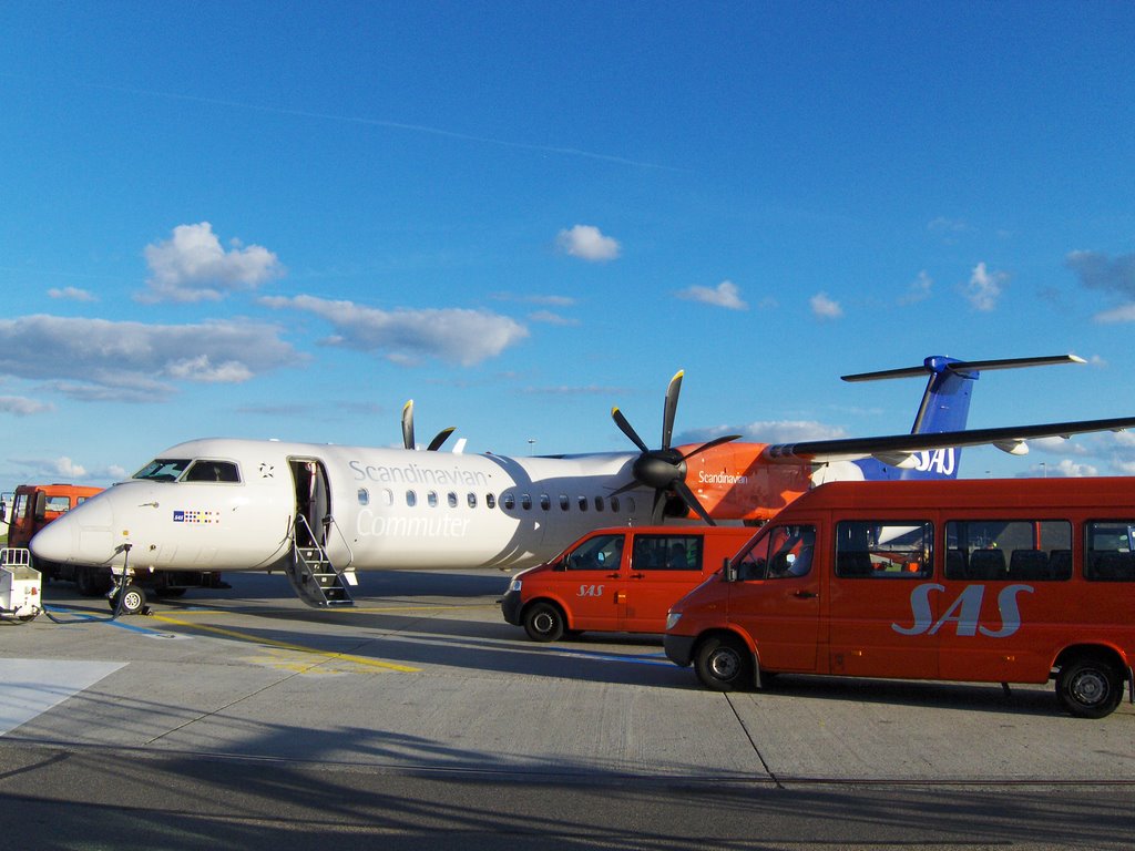 SAS Frej Viking at Copenhagen Airport by Maltesen