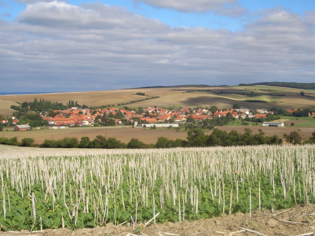 Blick vom Kleinen Fallstein auf Rhoden by Barni