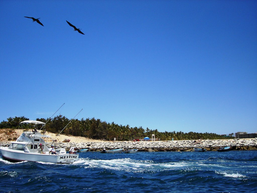 Blvd. Paseo de la Marina 36, Centro, Marina, 23450 Cabo San Lucas, B.C.S., Mexico by gogga