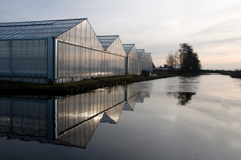 Het Lange Eind - De Kwakel by verheijfotografie