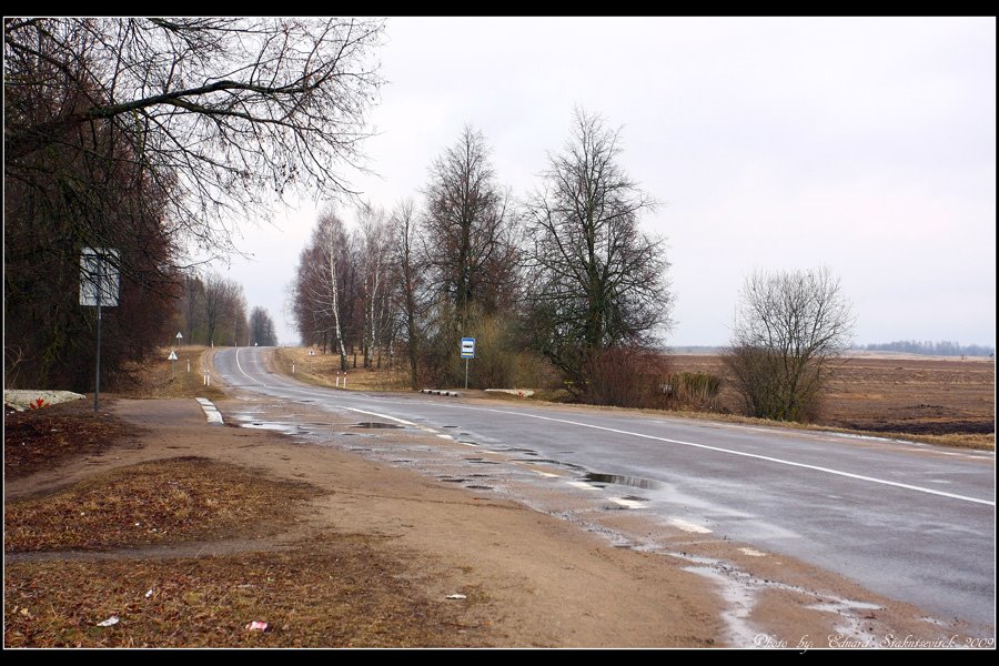 A road to Giedraiciai by Eduard Stakutsevitch