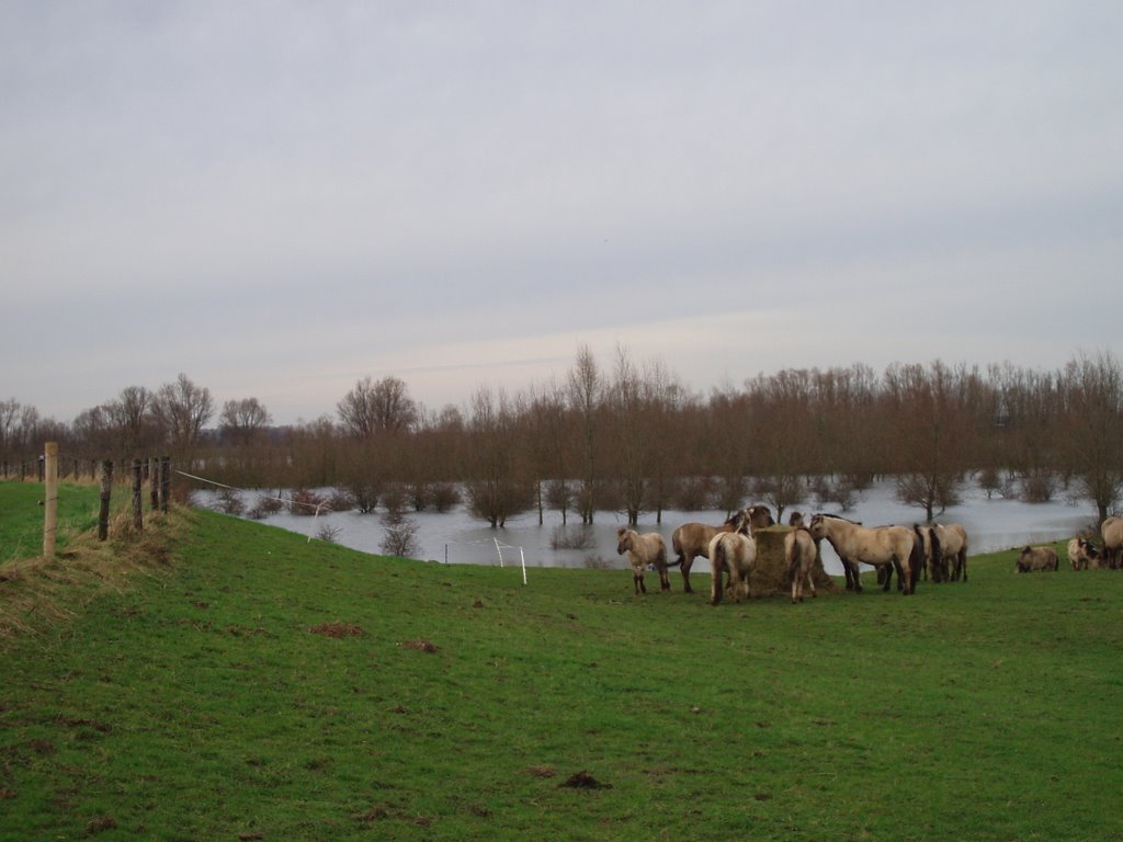 Beuningen, Netherlands by Mireille Gerrits