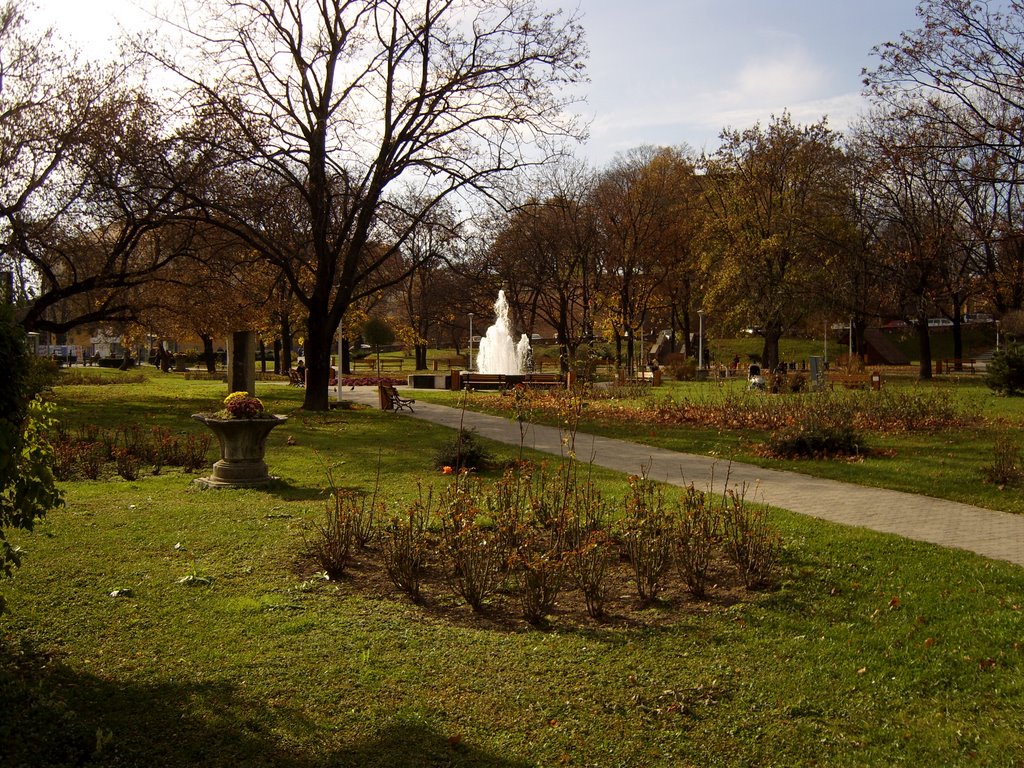 Parcul Tineretului by Eduard Radulescu