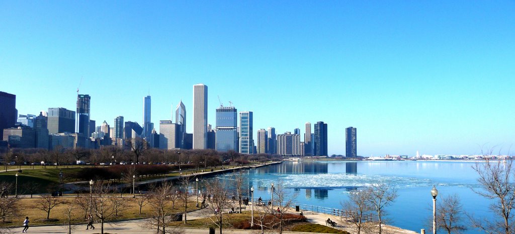 Chicago skyline viewed from Field Museum of Natural History, USA by Ivano Gutz