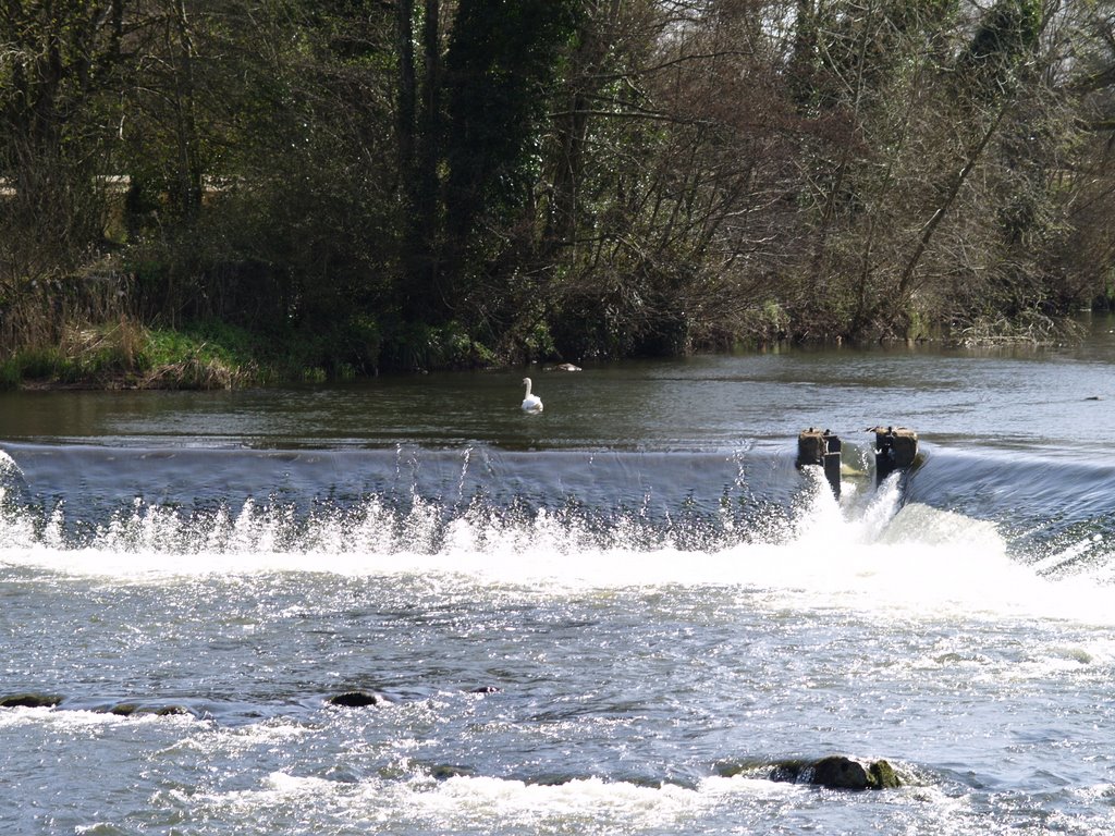 Garraunykee, Co. Limerick, Ireland by jay hutchin