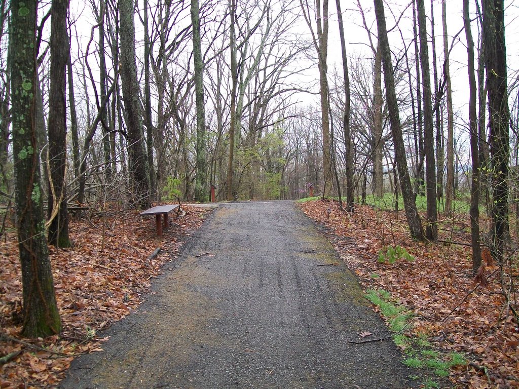 Entry Walkway to Mingo National Wildlife Refuge Visitor Center by mgray03