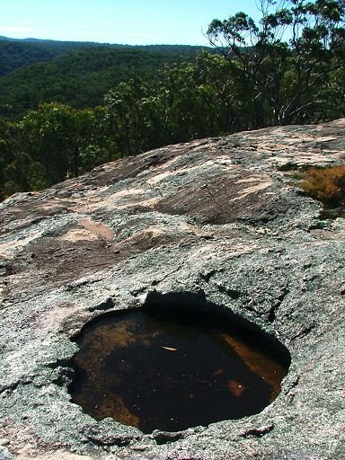 Gnamma (waterhole) in granite rock outcrop, Tenterfield by EcologistGreg