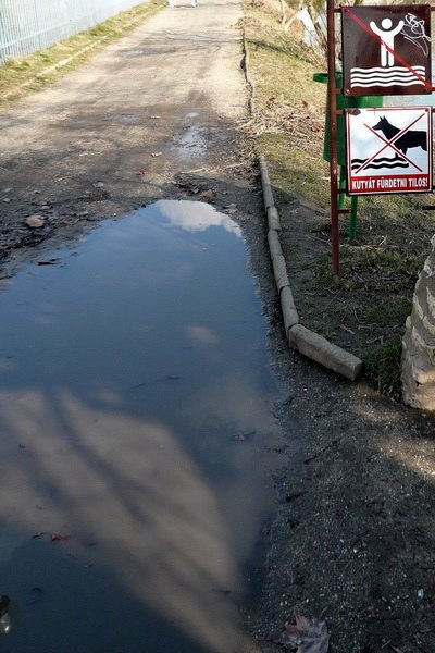 Csak verebeknek szabad... by Szemes Elek