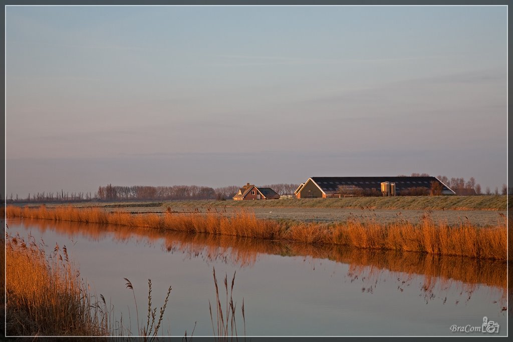 Zonsopkomst / Sunrise, Haven van Dirksland by Bram van Broekhoven