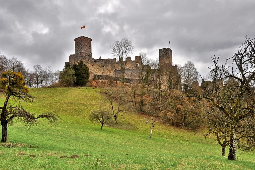 Burg Rötteln - März.2009 by SenselessSupport