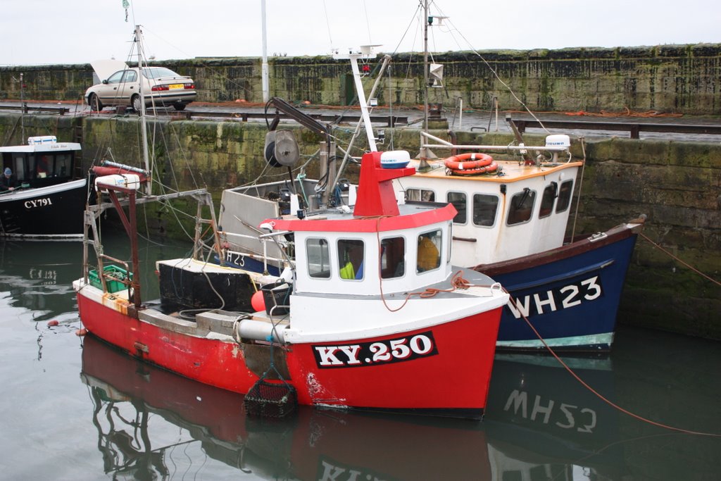 Pittenweem harbour by norscot