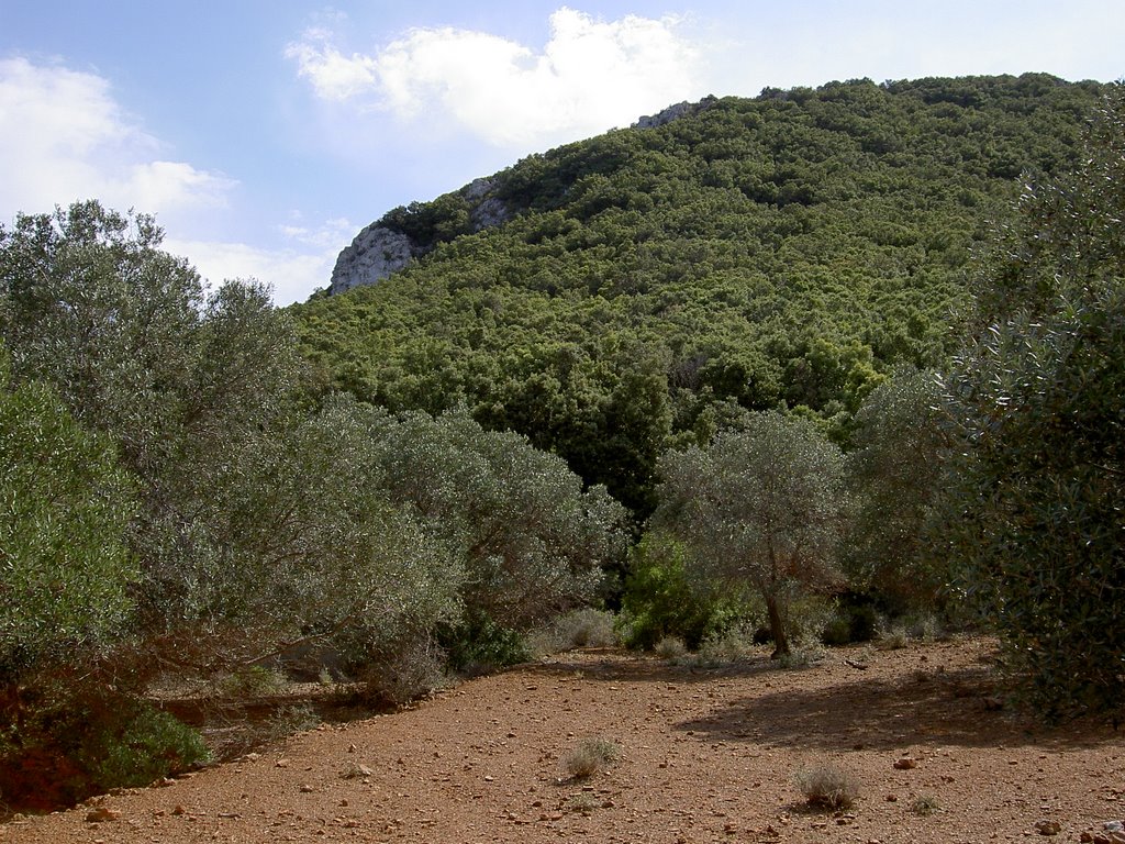 Giglio Campese by tmkramer