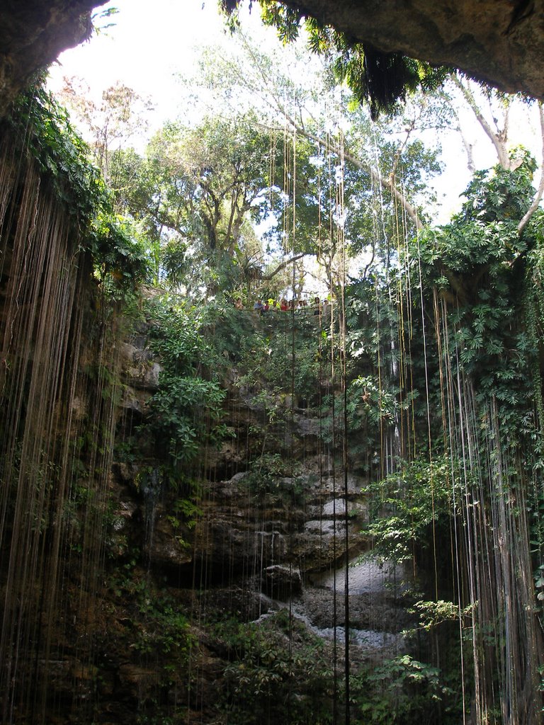 View from cenote Ik-kal by Алексей Прахов