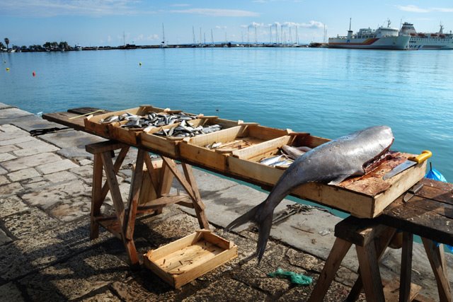 Greece - Island Zakynthos - fish by Jan Kukucka