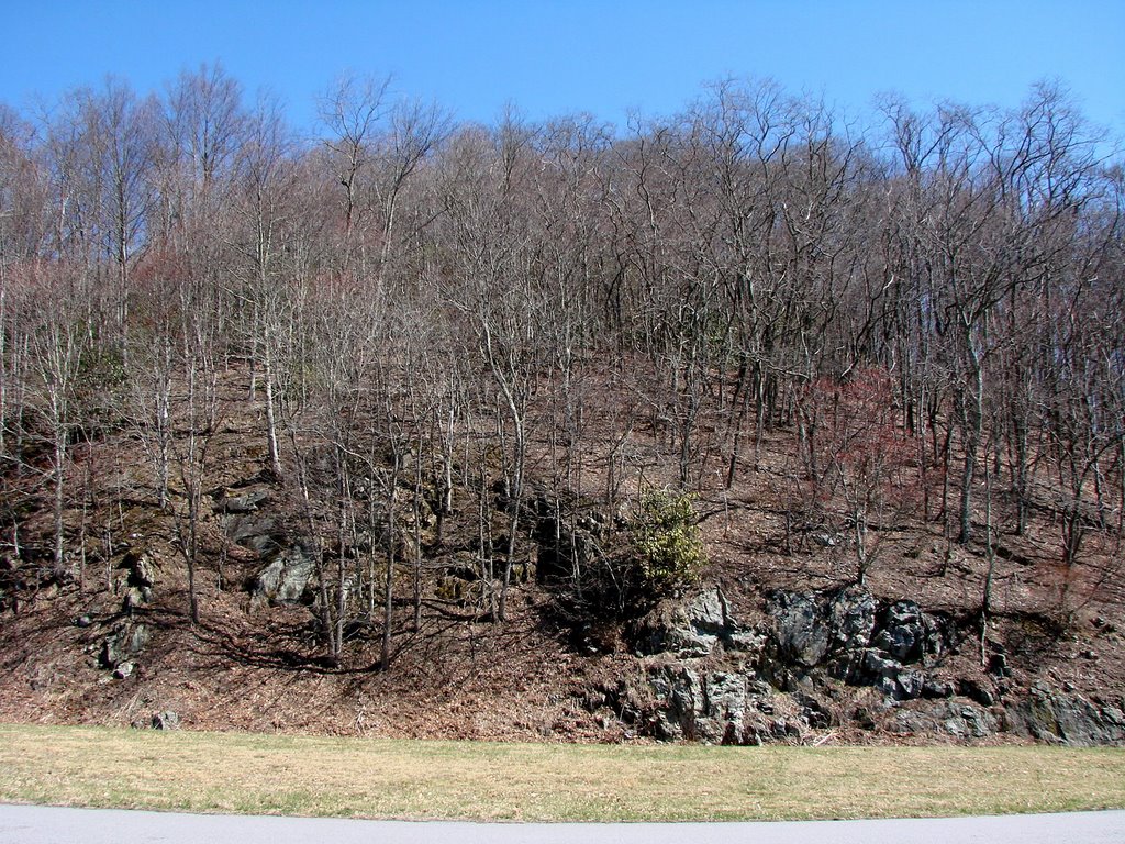 The hill behind the overlook by Jean Gregory Evans