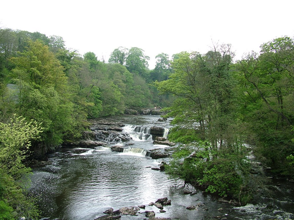 Aysgarth Falls 29/4/07 by Lee Blenkinsop