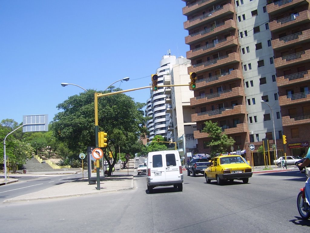 Av. Poeta Lugones, vista hacia el Coniferal by Gustavo Alterio