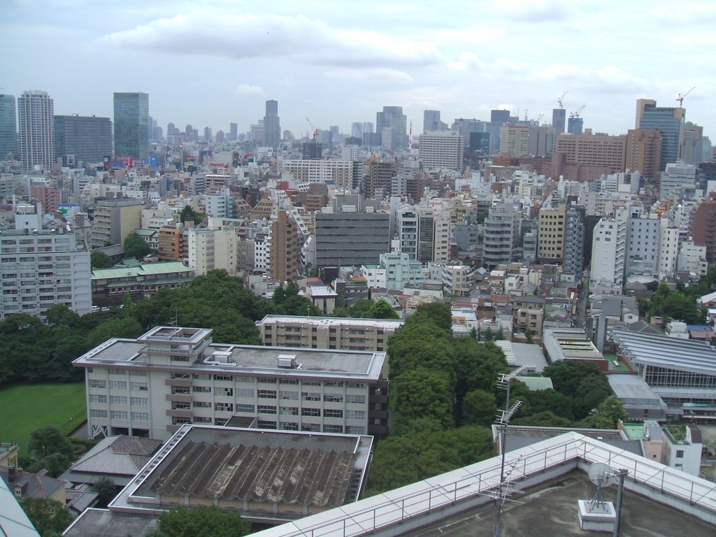 View from the UT hospital heliport by neopons