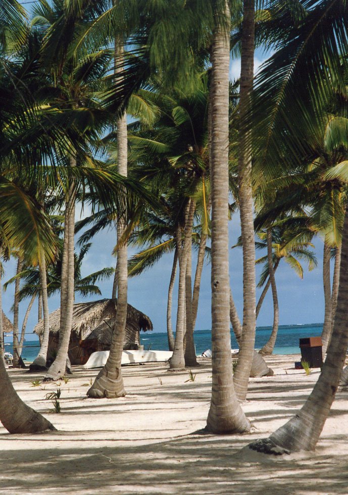 Punta Cana Beach Ressort 1992 by hammond-alex