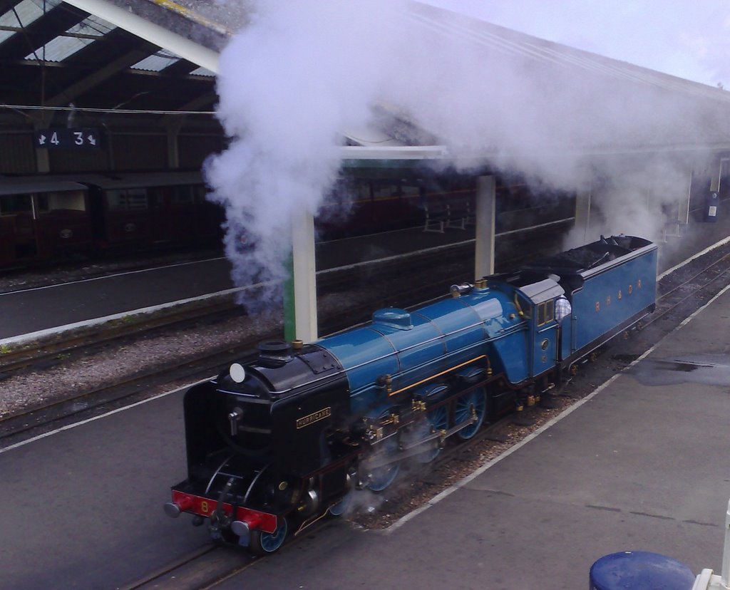 Romney Hythe and Dymchurch Railway by bramblebushbay