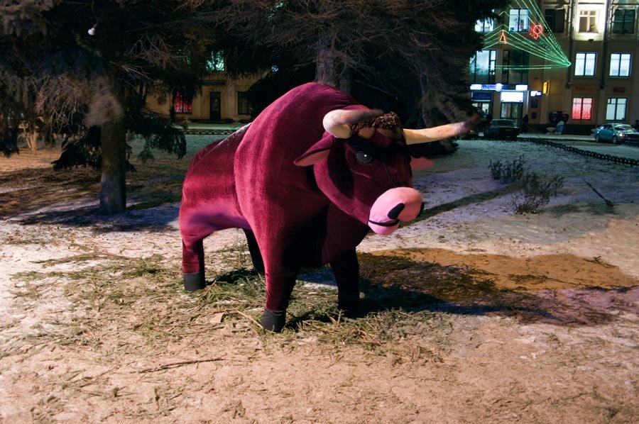 Бык - очередной символ года / The Bull is the symbol of 2009th year (30/12/2008) by Dmitry A. Shchukin