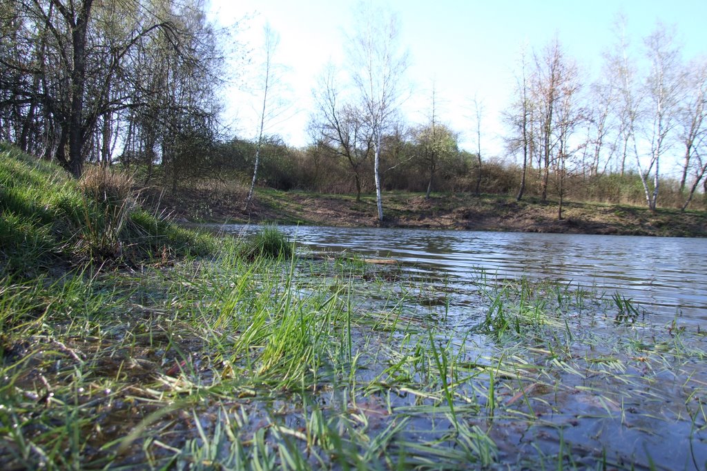 Chodov, Spěváček pond by pavelka.daniel