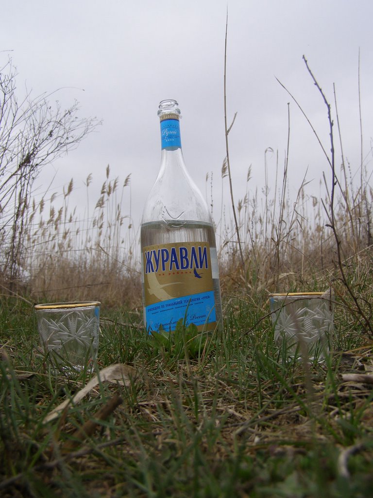 Russian vodka "Cranes" by Bulbas