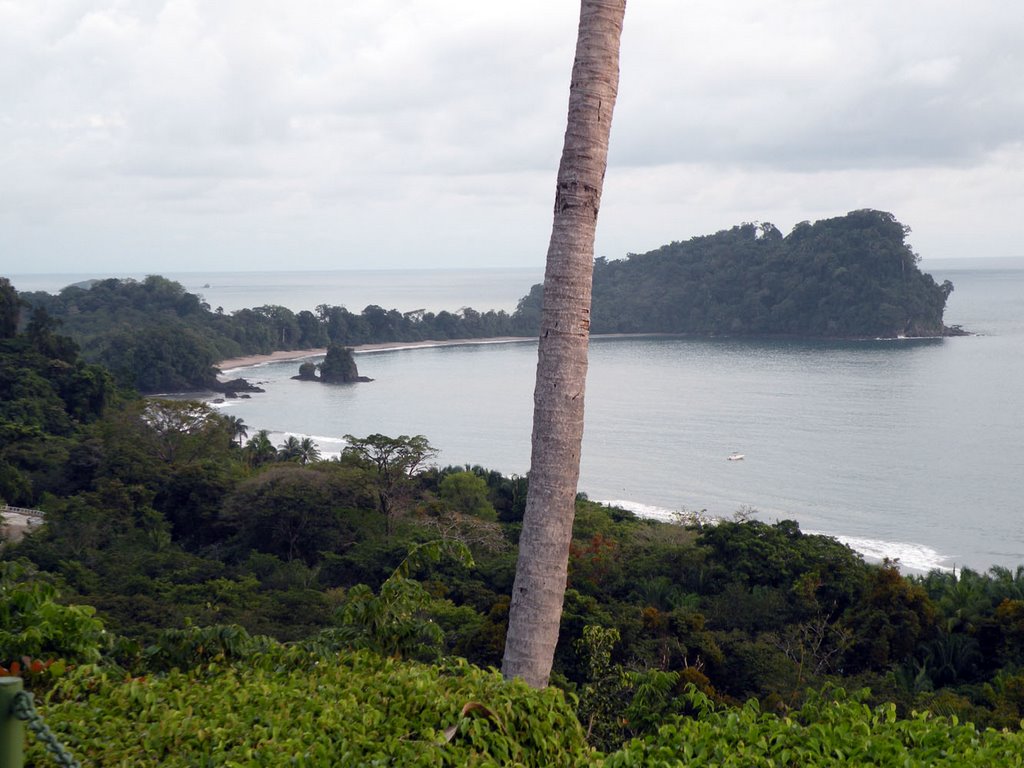 Hotel Costa Verde, Manuel Antonio by carlitopolis