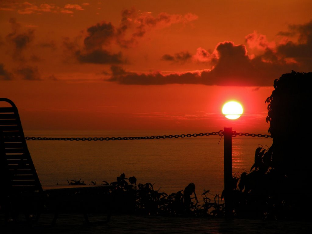 Hotel Costa Verde, Manuel Antonio by carlitopolis