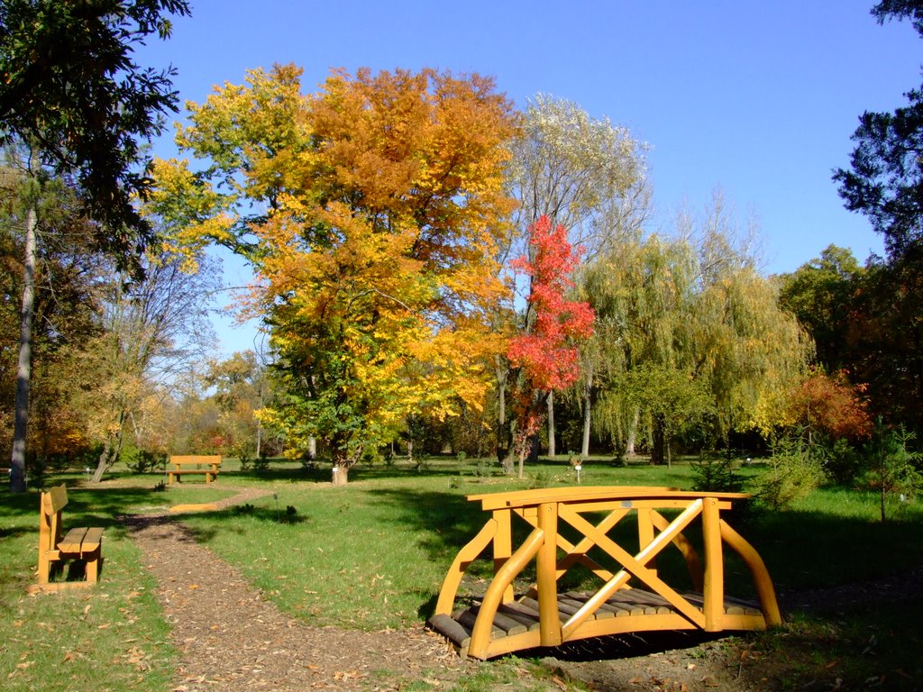 Szeged, Hungary - Füvészkert (Botanic Garden) őszi színei by Bazita Gausss