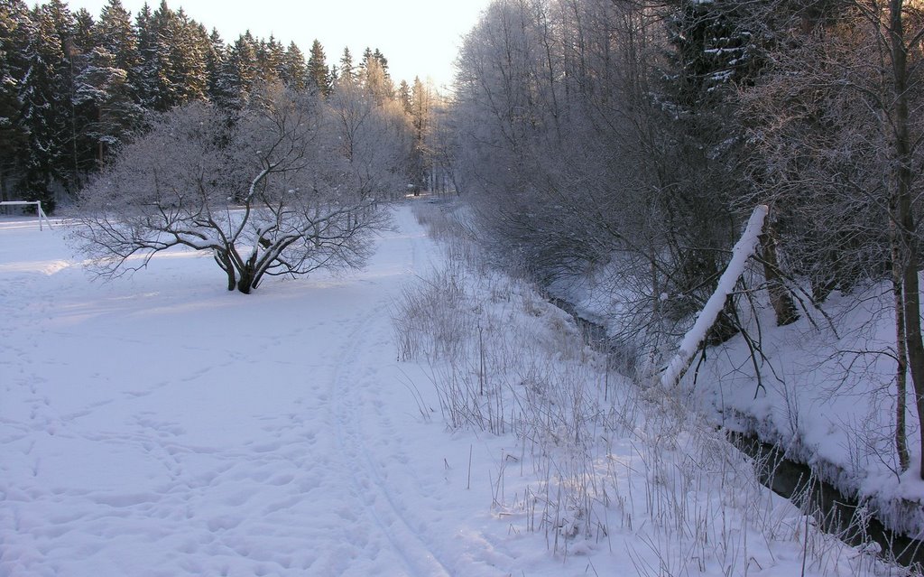 Maunula urheilukentän reunus by T.K.Sundvall