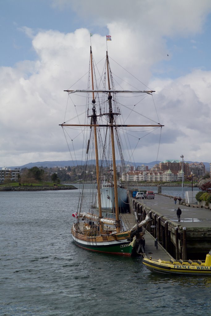 Pacific Swift, Youth Training Ship by John Oliveira