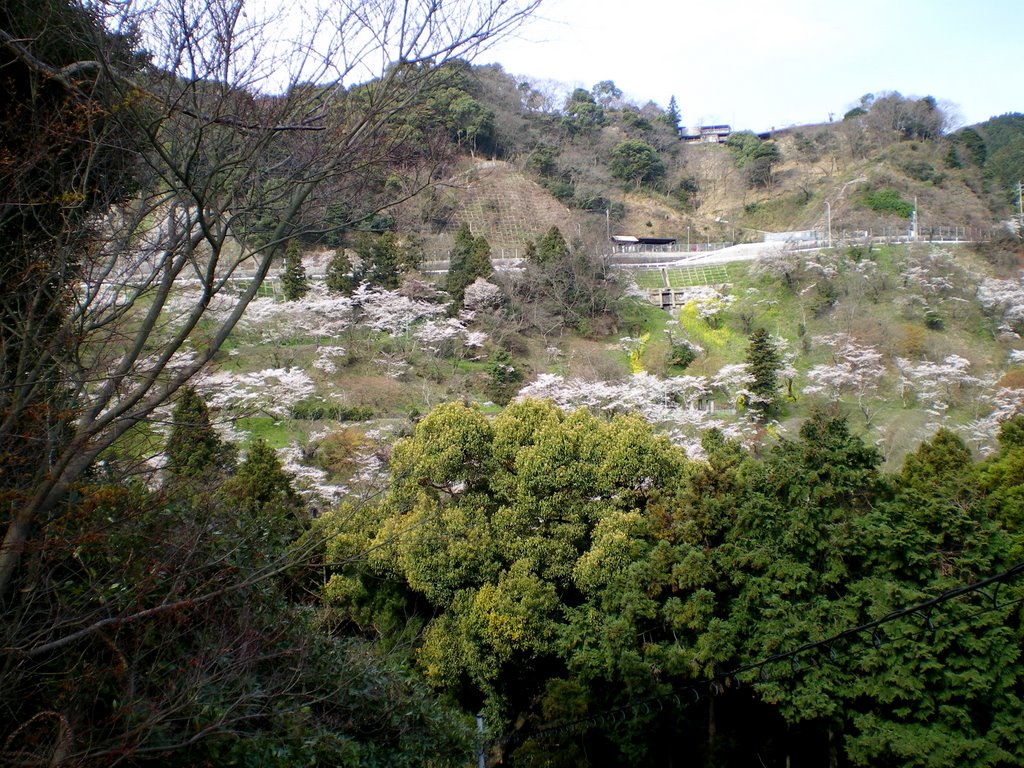 福岡　飯塚　ドライブイン八木山展望台 Drive-in Yakiyama Observatory in Iizuka, Fukuoka, Kyusyu, Japan. 2009. Landscape. by 表野豊